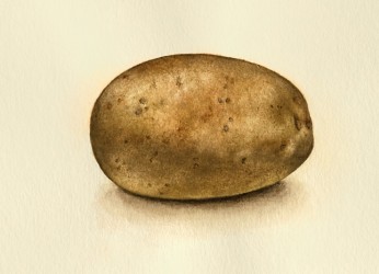 Potato1