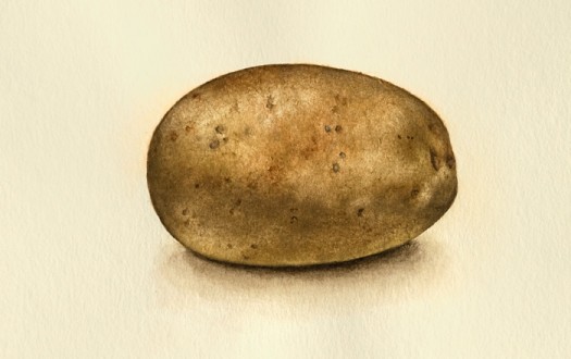 Potato1